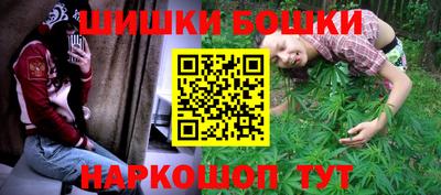 стафф Будённовск