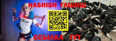стафф Будённовск