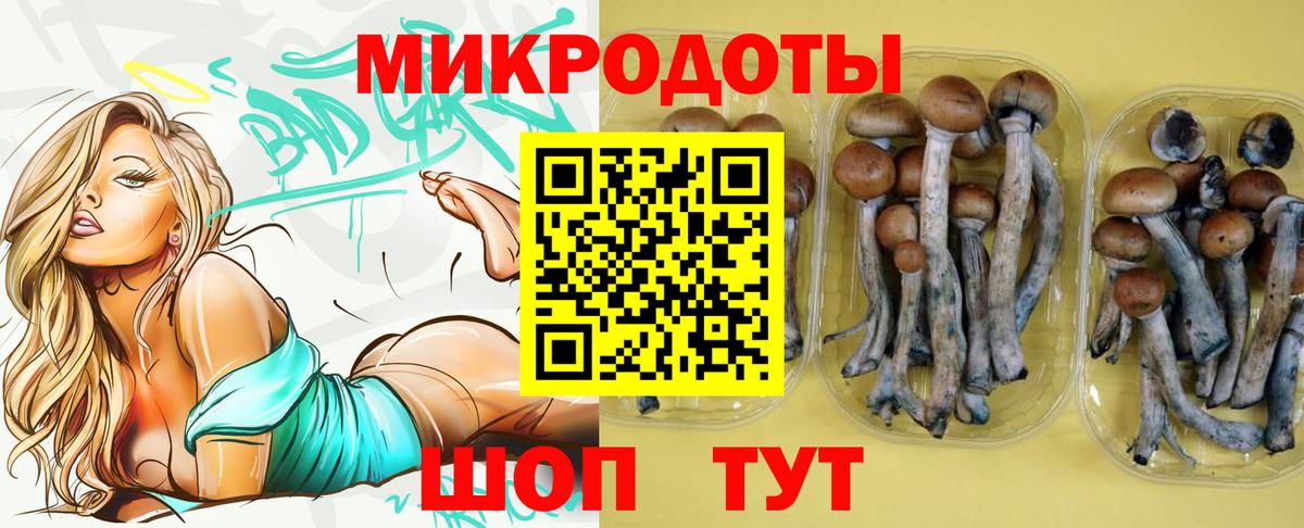 Галлюциногенные грибы Magic Shrooms Тара
