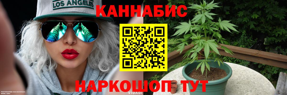 Бошки марихуана конопля  Вход с VPN  Марихуана White Widow  Канабис сатива  Тара 